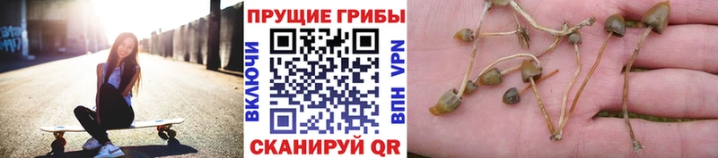 Купить  Юрга  Галлюциногенные грибы мухоморы 